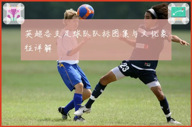 英超各支足球队队标图集与文化象征详解