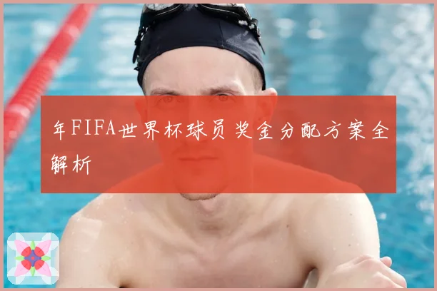年FIFA世界杯球员奖金分配方案全解析