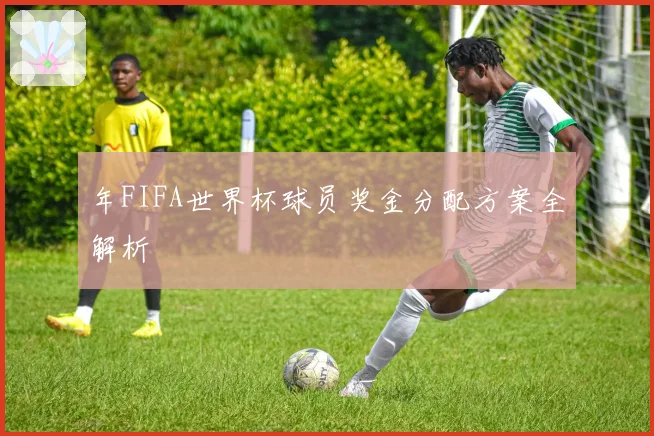 年FIFA世界杯球员奖金分配方案全解析