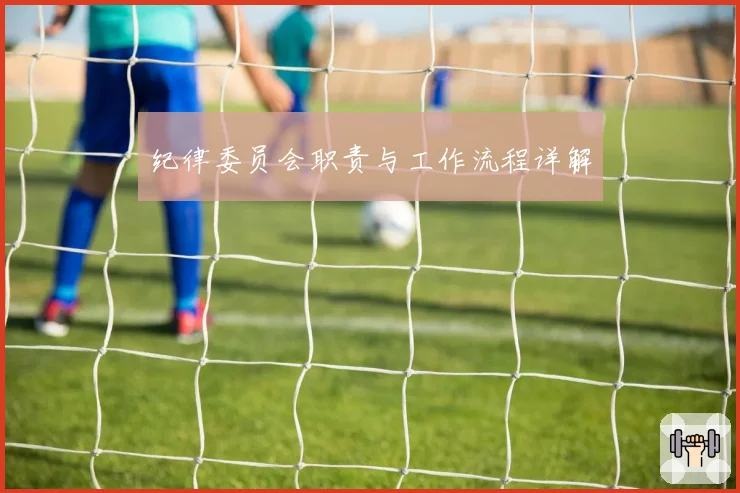 纪律委员会职责与工作流程详解